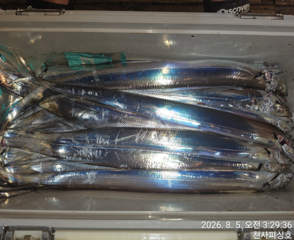 1004피싱_사진_20260805_3.jpg