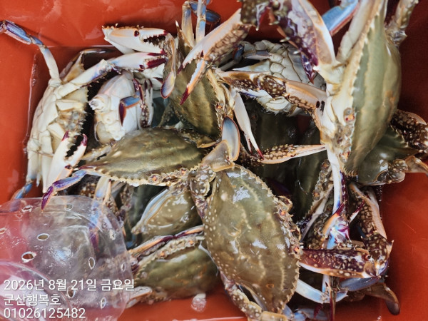 군산행복호_사진_20260821_4.jpg