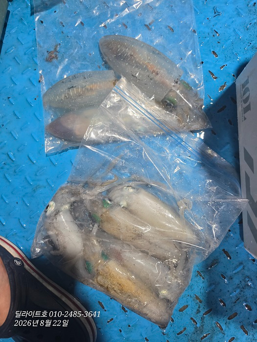 KakaoTalk_20260824_213235293_01.jpg