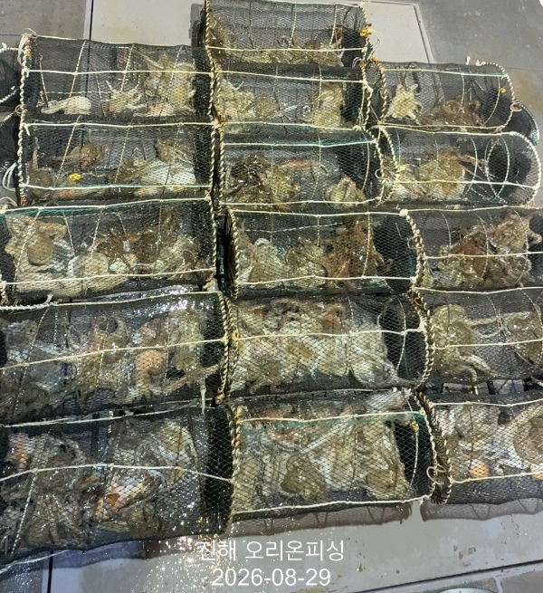KakaoTalk_20260829_033032375_14.jpg