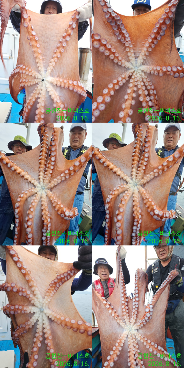 Resized_IMG_20260816_075734-tile.jpg