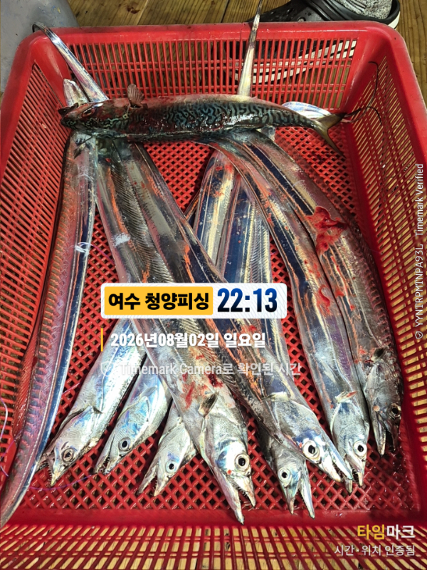 2026-08-02 22.13.08__(제목-여수 청양피싱).jpg