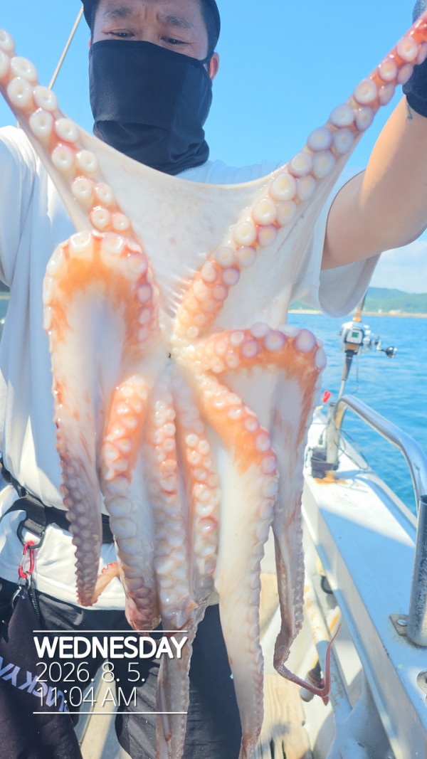 공현진낚시마트(돌핀호)_사진_20260805_14.jpg