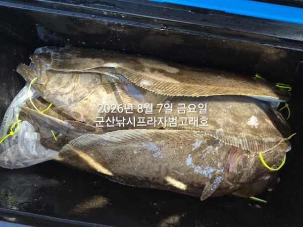 KakaoTalk_20260807_154956921_06.jpg