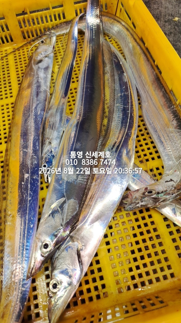 1787435984733.jpg