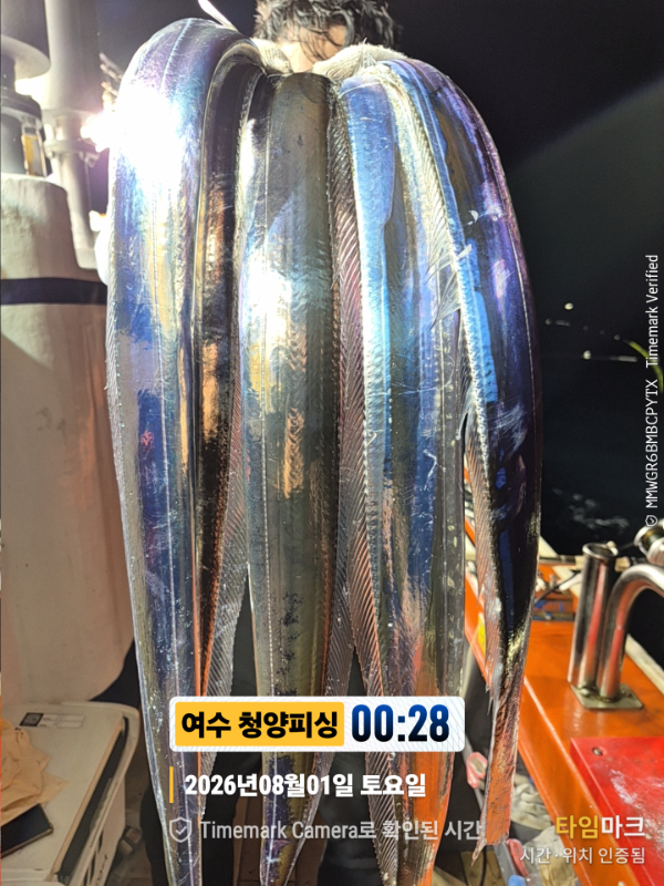 2026-08-01 00.28.29__(제목-여수 청양피싱).jpg