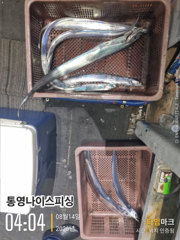 2026-08-14 04.04.04__(통영나이스피싱).jpg