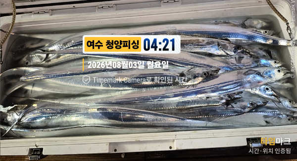 2026-08-03 04.21.17__(제목-여수 청양피싱).jpg