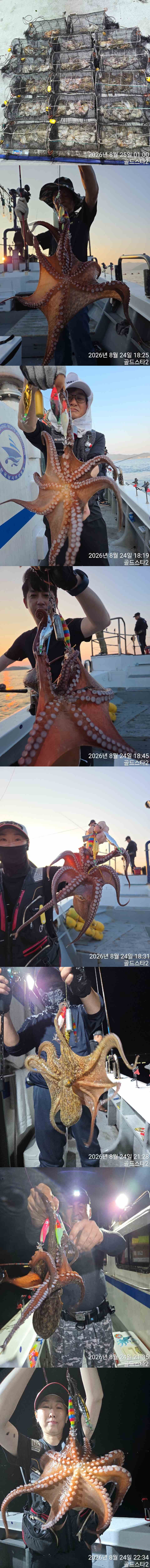 [포맷변환]c.jpg