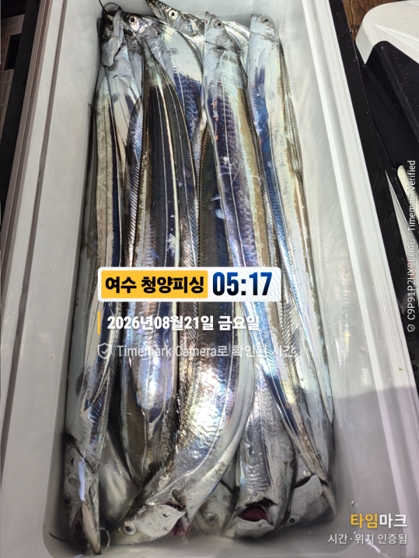 2026-08-21 05.17.21__(제목-여수 청양피싱).jpg