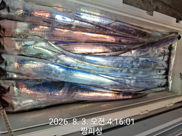 1000081297.jpg