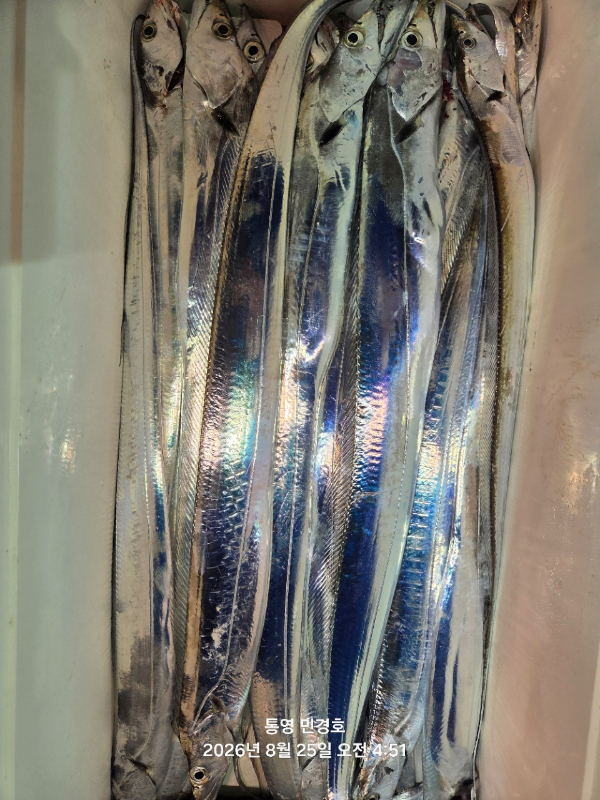502974CE-F57C-4948-8BB8-D16A985C7944.jpeg