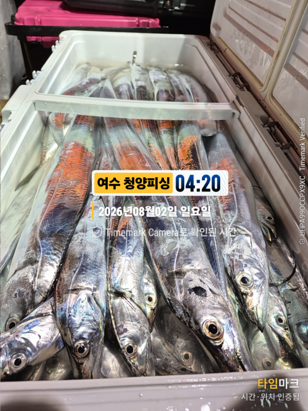2026-08-02 04.20.01__(제목-여수 청양피싱).jpg