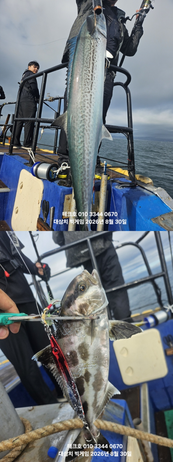 KakaoTalk_20260830_082511332 (1)-vert.jpg