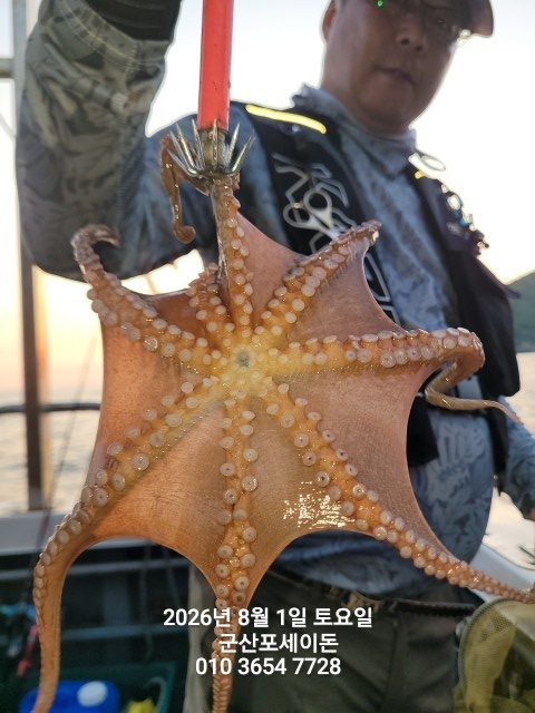 1785588803667.jpg