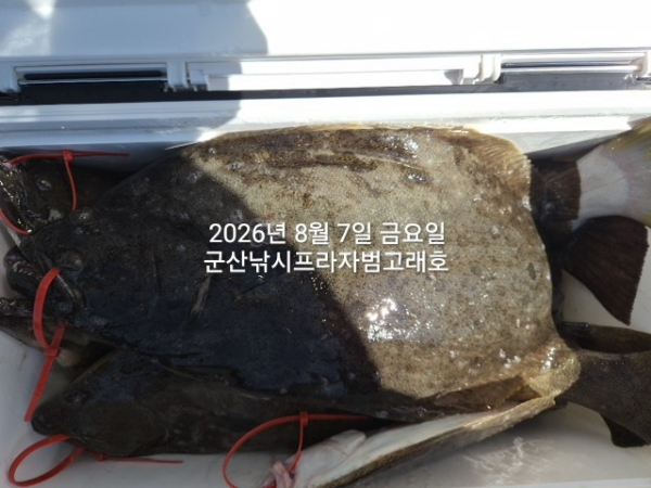 KakaoTalk_20260807_154956921_07.jpg