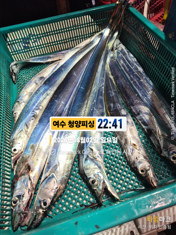 2026-08-02 22.41.02__(제목-여수 청양피싱).jpg