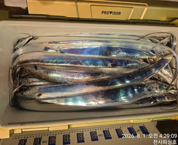 1004피싱_사진_20260801_13.jpg