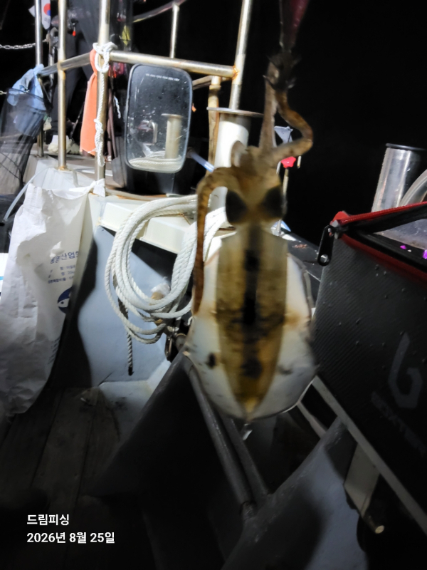 BandPhoto_2026_08_26_02_08_28_7.jpg