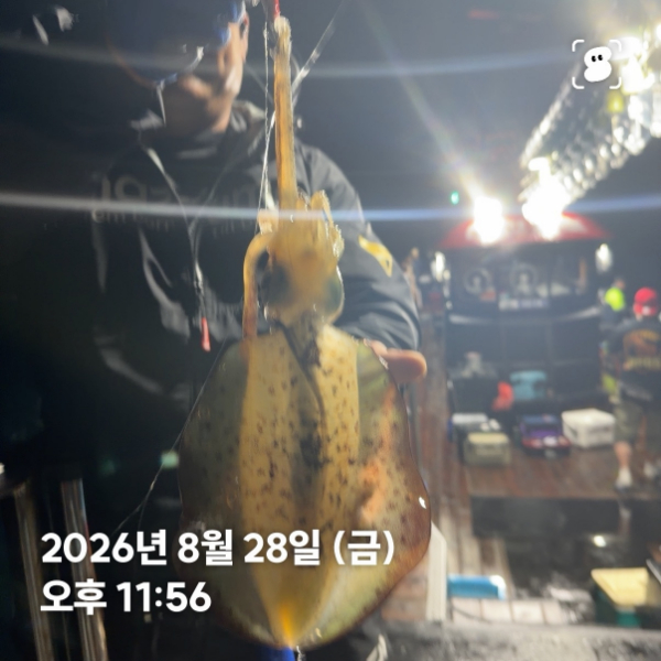 신신낚시 강구점 신신호_사진_20260829_15.jpg