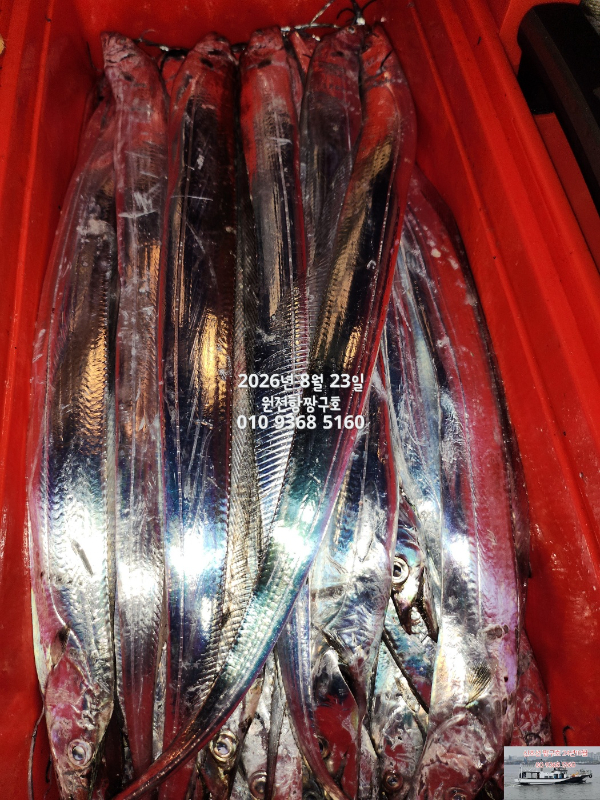 KakaoTalk_20260823_033114850_09.jpg