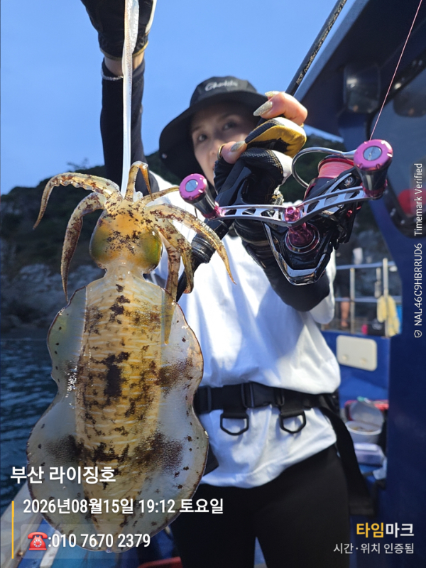 2026-08-15 19.12.07__(제목-부산 라이징호)_(-010 7670 2379).jpg