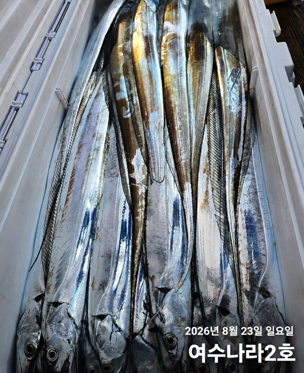 894E826E-2E05-48A7-AF9E-F1E21DDD6909.png