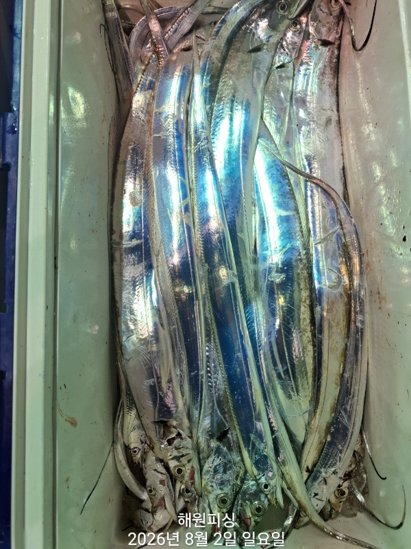 1000036120.jpg
