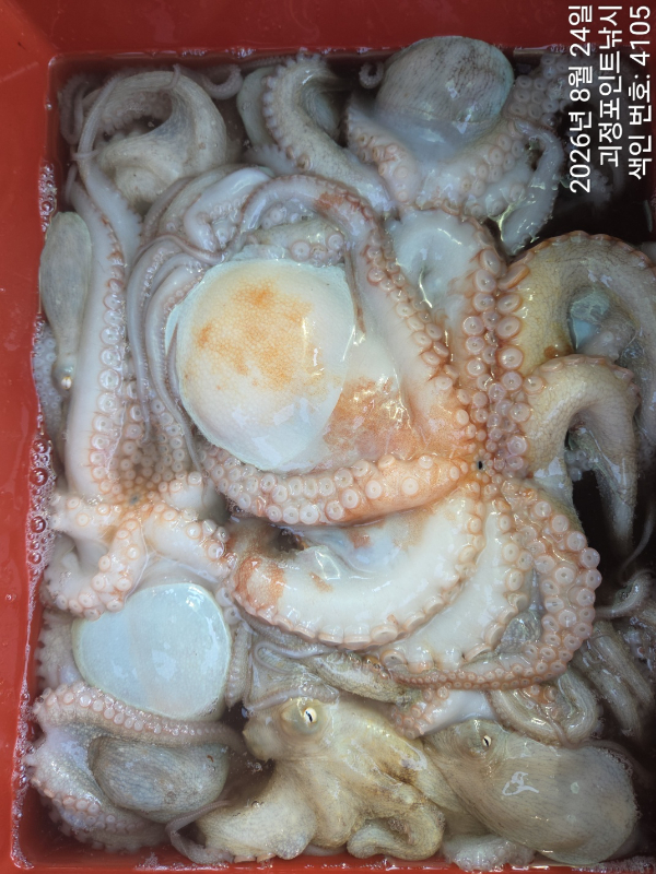 KakaoTalk_20260825_101906677_10.jpg