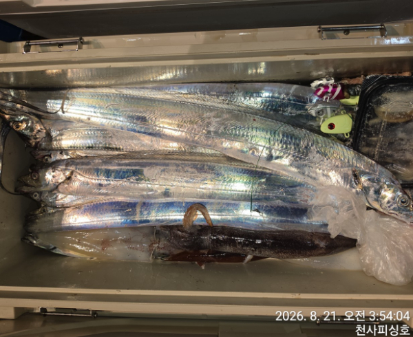 1004피싱_사진_20260821_10.jpg