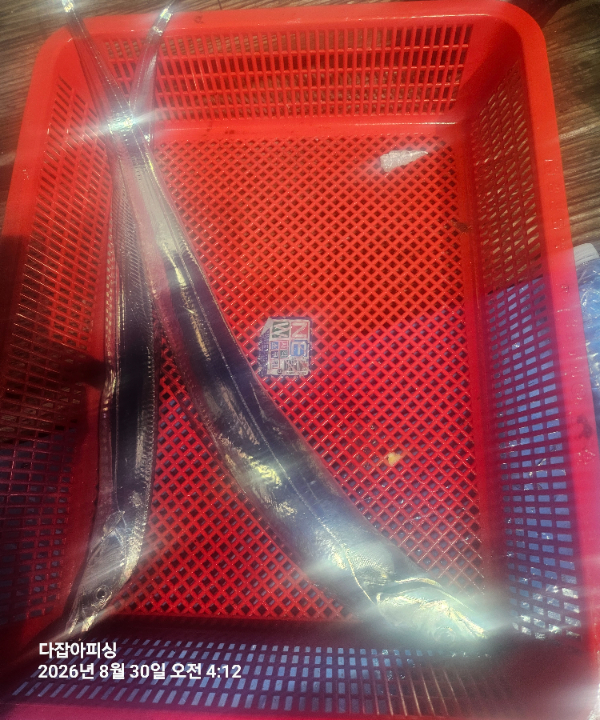 20260830_041218.jpg