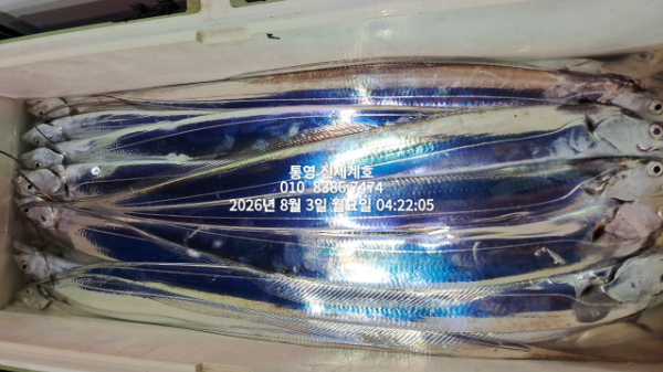1785704438041.jpg