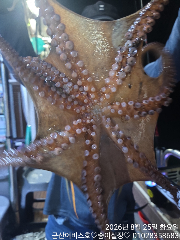 1000028623.jpg