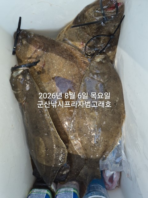 KakaoTalk_20260806_161146142.jpg