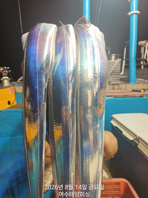 1000055169.jpg