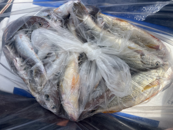 1000056460.jpg