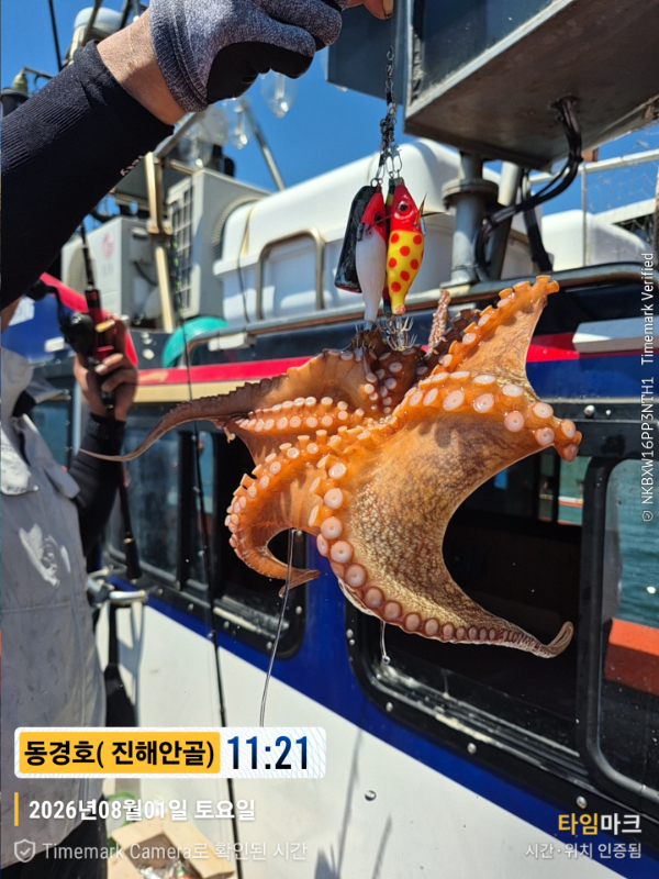 2026-08-01 11.21.20(1)__(제목-동경호( 진해안골)).jpg