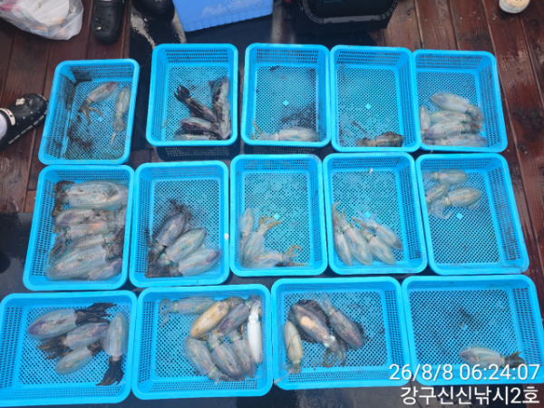 신신낚시 강구점 신신호_사진_20260808_8.jpg