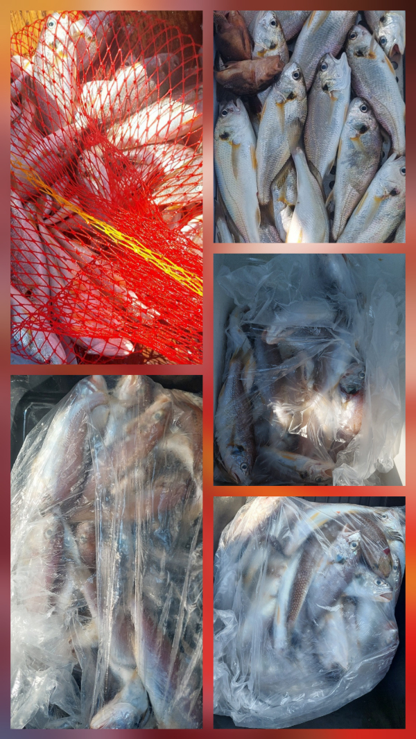 1000009706.jpg
