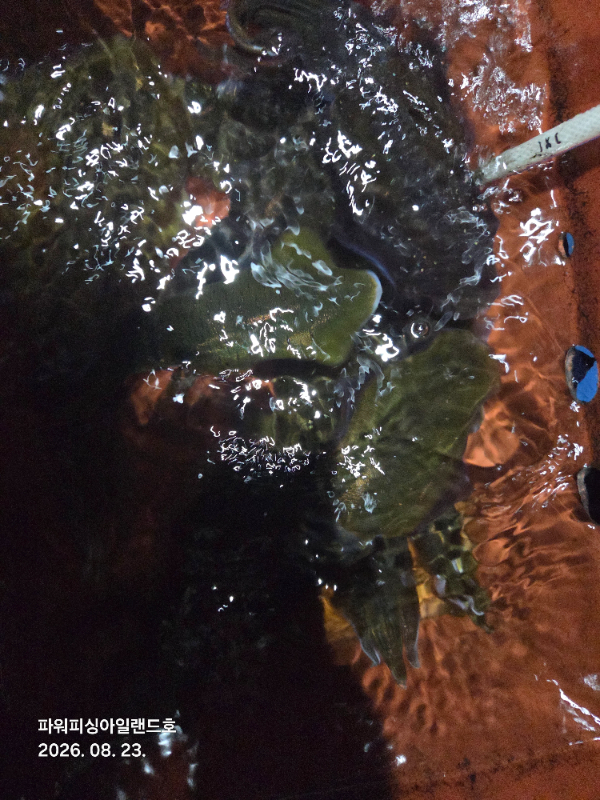 20260823_030437.jpg