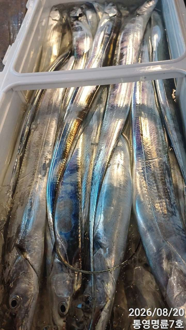 KakaoTalk_20260820_050932376_23.jpg
