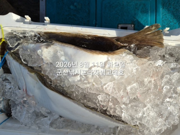 KakaoTalk_20260811_180256660_03.jpg