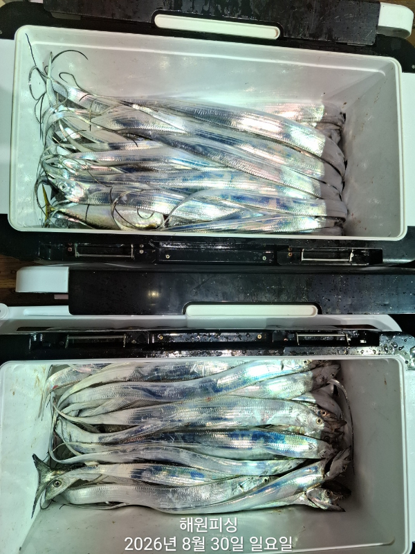 1000036514.jpg