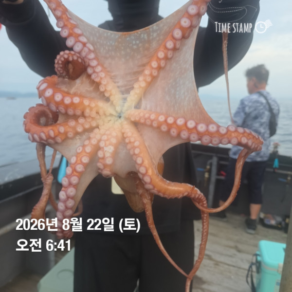 공현진낚시마트(돌핀호)_사진_20260822_4.jpg