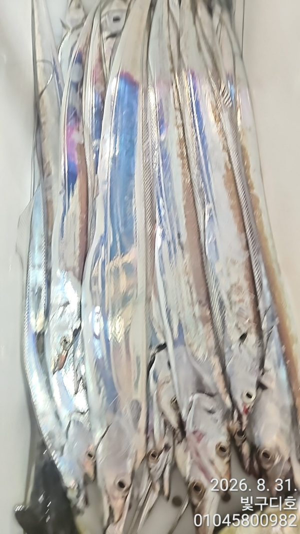 8702.jpg