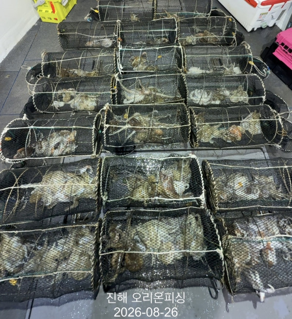 KakaoTalk_20260826_031738376.jpg