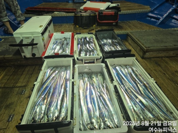 8월21일갈치 (28).jpg