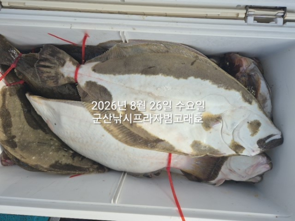 KakaoTalk_20260826_181129045.jpg