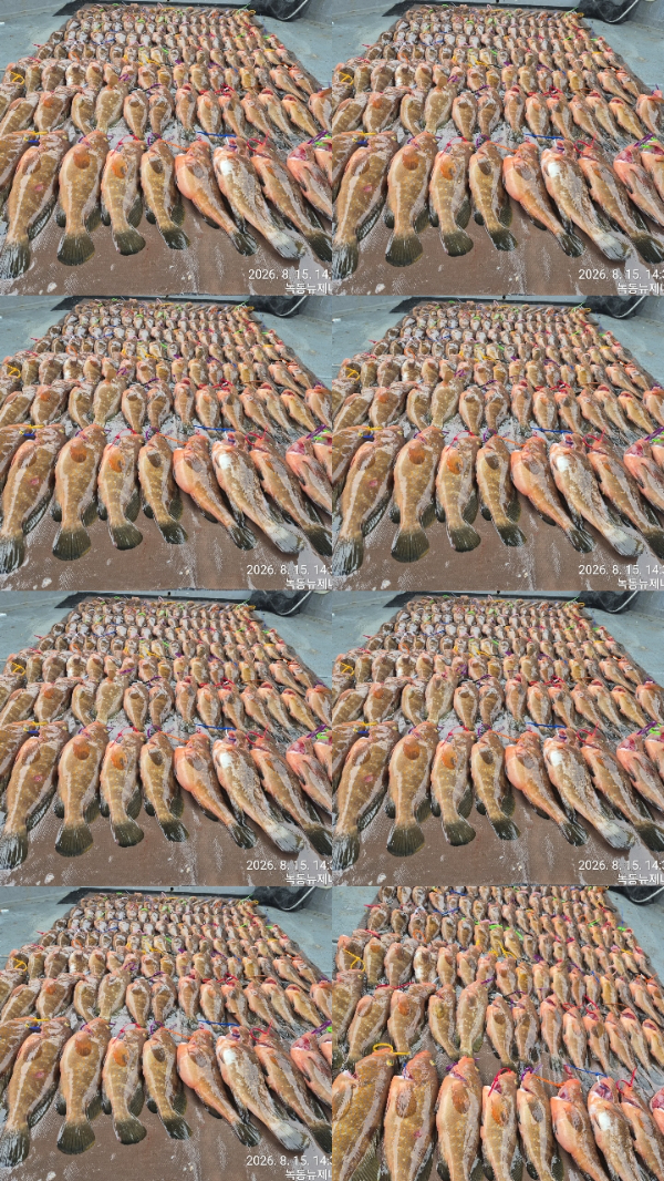 30788.jpg