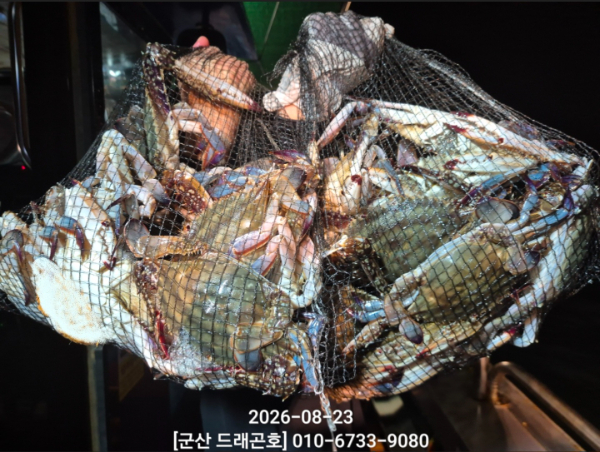 KakaoTalk_20260823_042449126_01.jpg